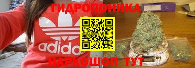 дурь Кингисепп