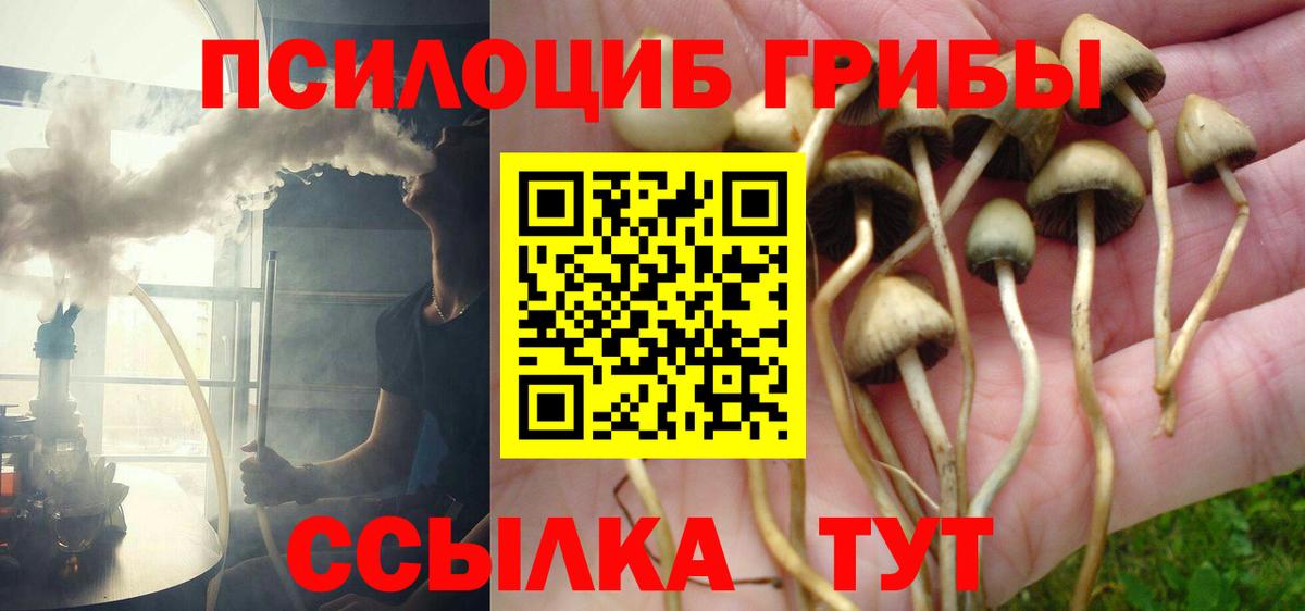 Псилоцибиновые грибы ЛСД  Вход с VPN  Щёлково  Псилоцибиновые грибы мицелий 